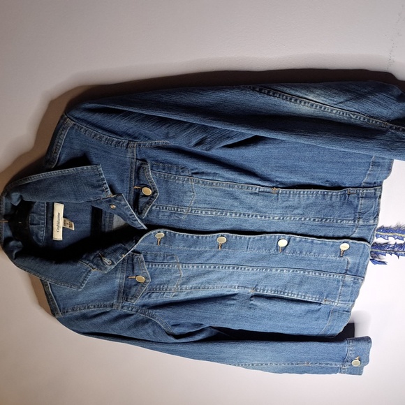 PHOENIX RISING JEAN JACKET - Picture 5 of 9